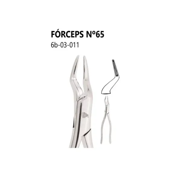 Fórceps Adulto - N° 16 23